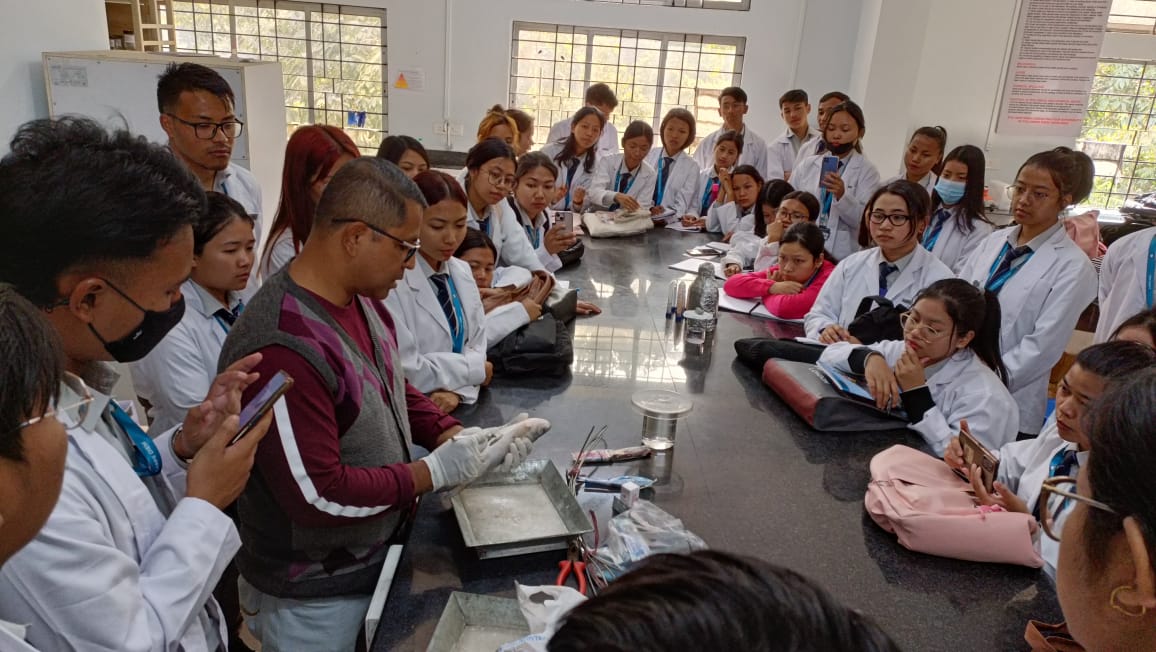 Taxidermy, Assam Don Bosco University